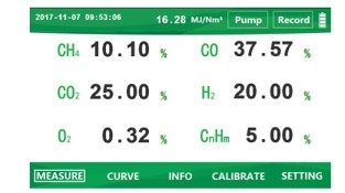 Syngas analyzer interface