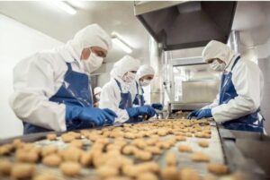 Food and Beverage Industry