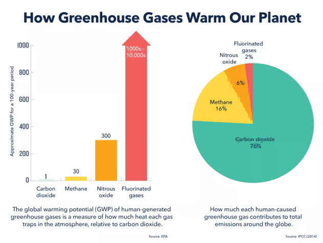 Greenhouse Gas 