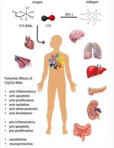 Medical Gas Monitoring