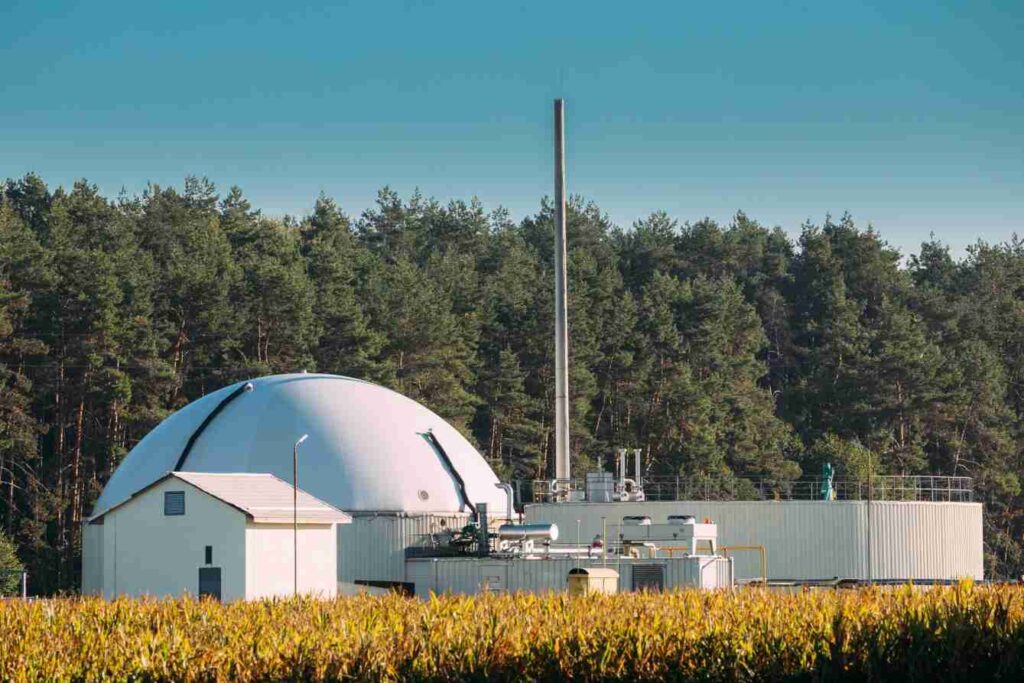 Biogas and Landfill Gas