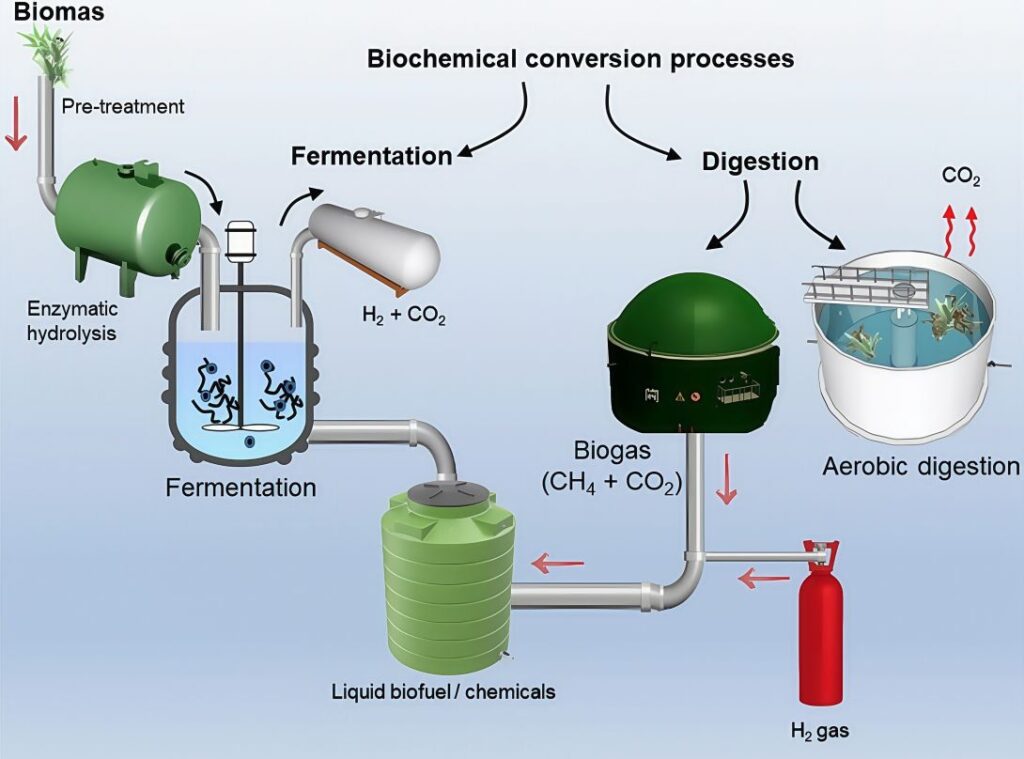 Why Is CO₂Analyzer Essential in Biofuel Fermentation and Biomass Gasification?