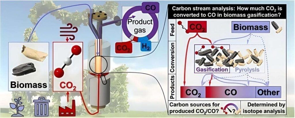 Why Is CO₂Analyzer Essential in Biofuel Fermentation and Biomass Gasification?