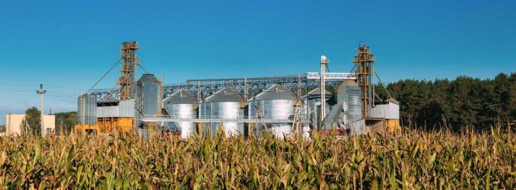 How Can a Biofuel Gas Analyzer Improve the Efficiency and Safety of Biofuel Combustion?