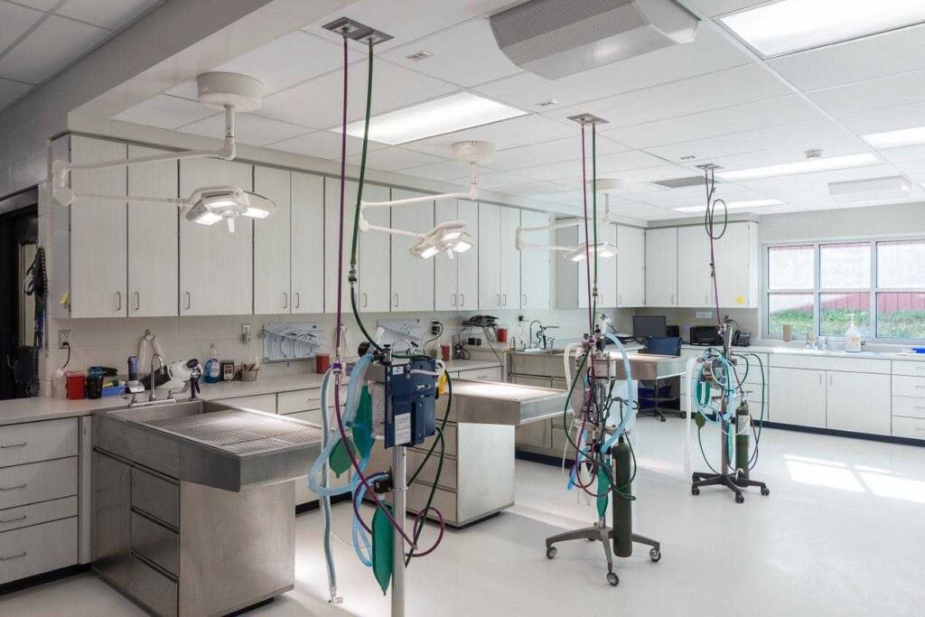 How Do Gas Analyzers Enhance Safety and Precision in Medical Applications?