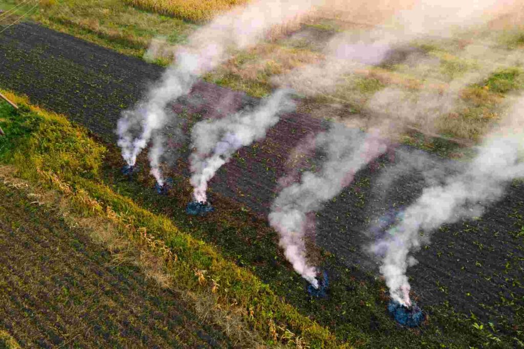 Breathing Easy: How Gas Analyzers Are Revolutionizing Agricultural Emissions Monitoring