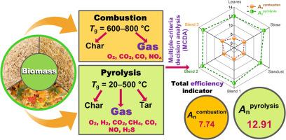 How Can a Biofuel Gas Analyzer Improve the Efficiency and Safety of Biofuel Combustion?