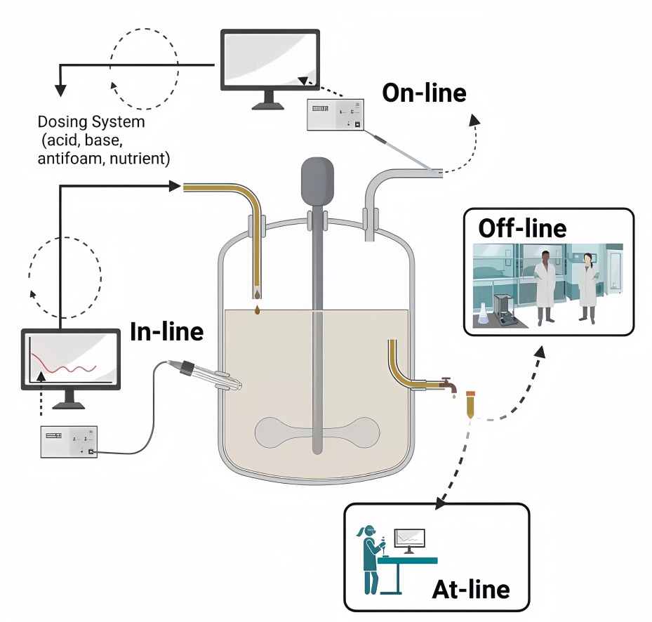 Infrared Gas Analyzer