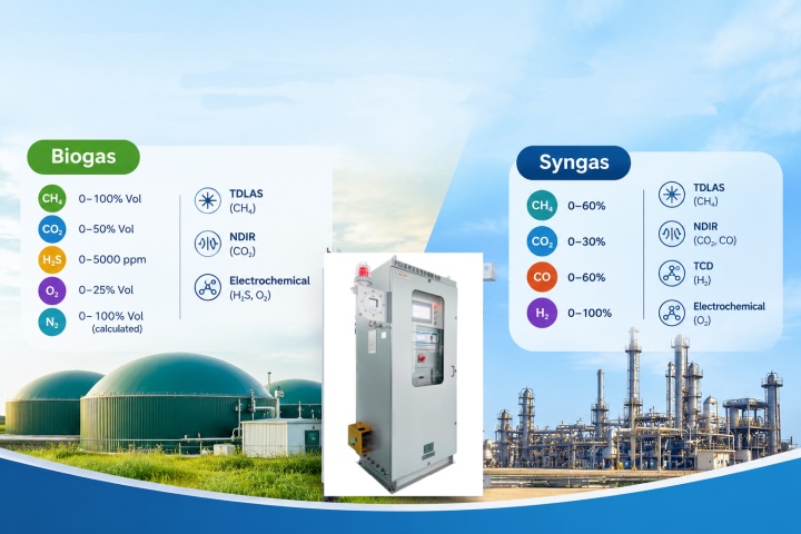 biogas and syngas